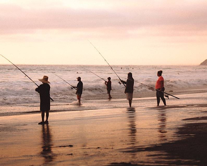 Guide Saltwater Fishing