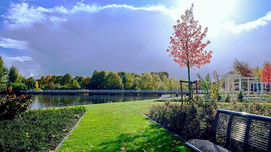 Customized Landscape Solutions