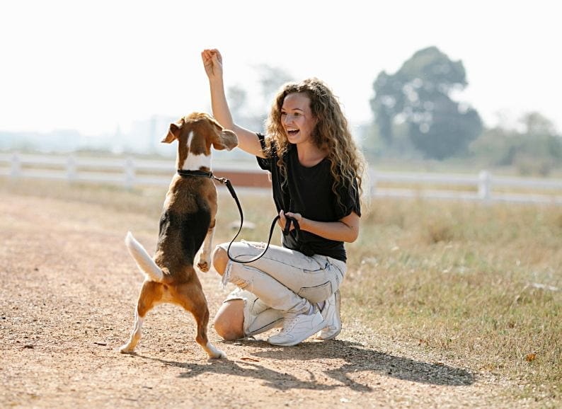 From Rascal to Role Model: 6 Expert Tips for Training Your Dog Like a Pro