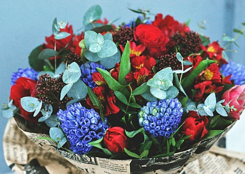 Understanding Flowers in Different Situations and Making Sense of Their Meanings