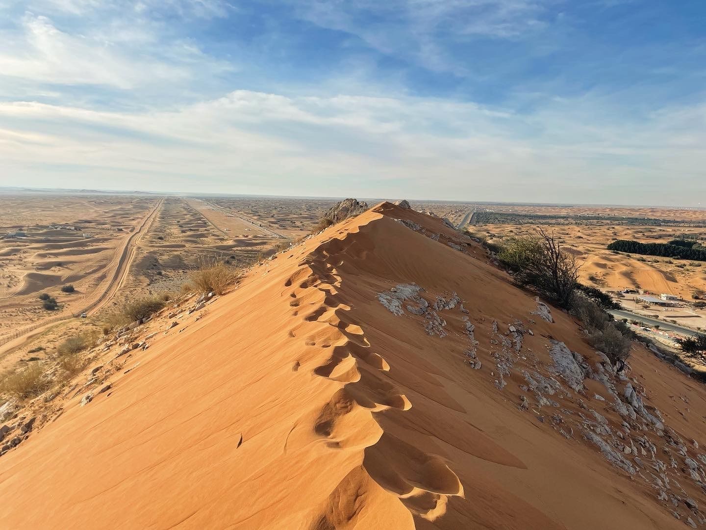 ‘It’s life-changing’ One woman’s journey to leading wildlife conservation expeditions
