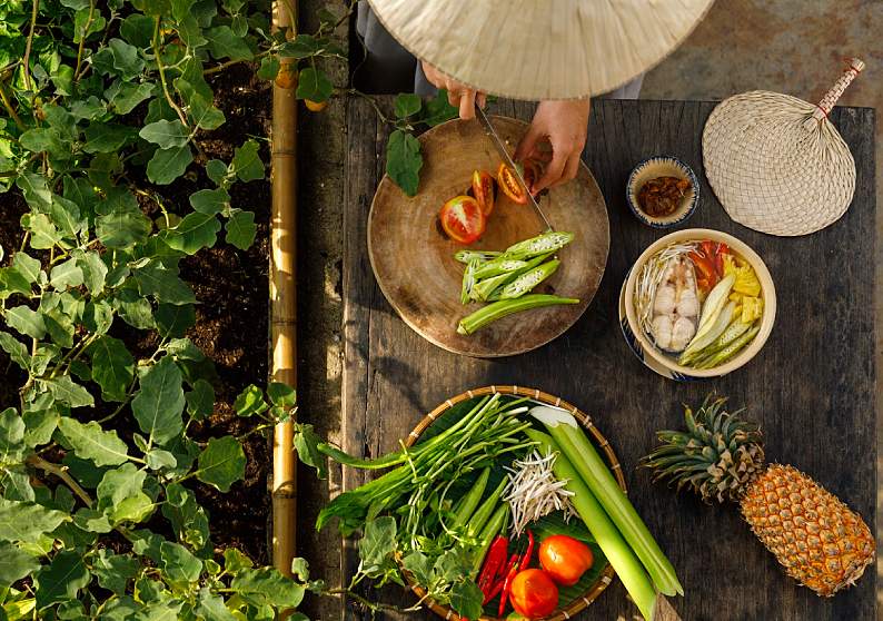 Blue Zone Diets: What’s Their Secret Sauce?