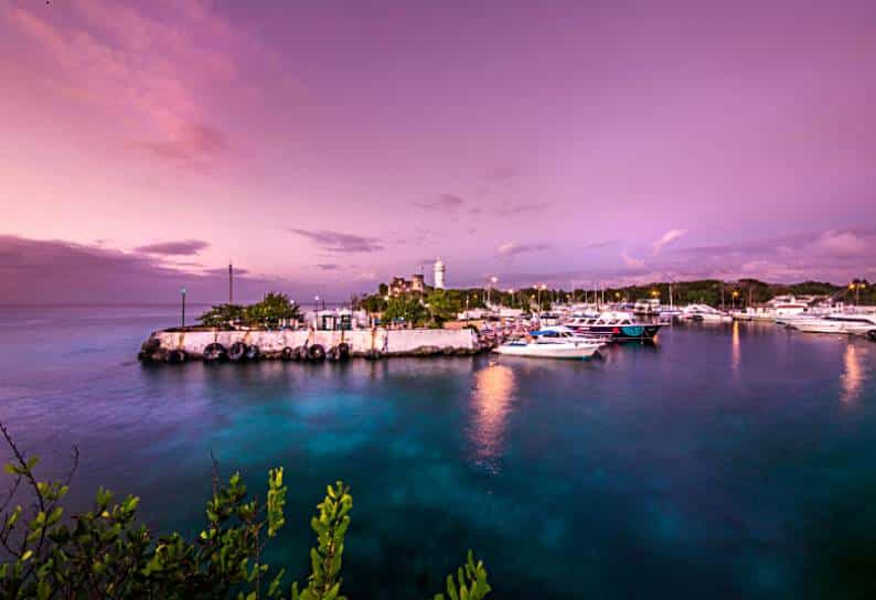 Everything You Need to Know for an Unforgettable Trip to Cozumel