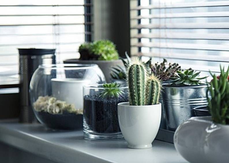 6 Easy Ways to Elevate Your Home’s Beauty and Style