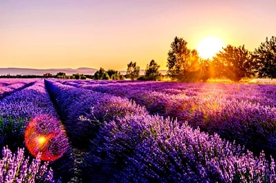 Key Steps to Planning a More Authentic Trip Through France