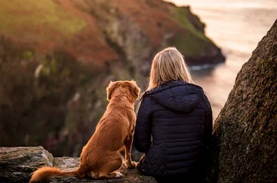 How Emotional Support Animals Improve Daily Life