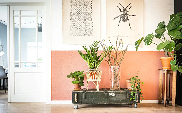 Cleaner Indoor Air