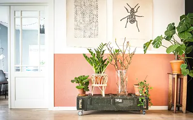 Creating a Healthier Home Environment: Practical Strategies for Cleaner Indoor Air