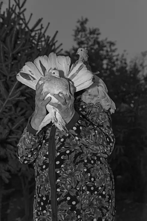 Roxana Savin photo