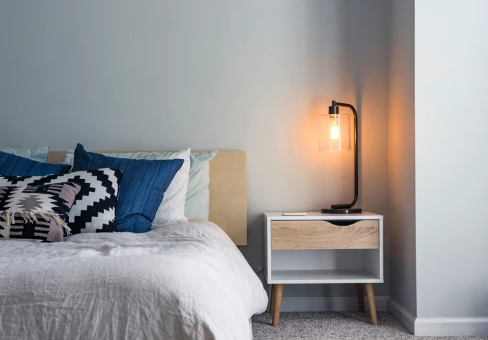 Why Bed Bugs tips