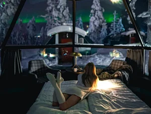 Perfect Winter Night In