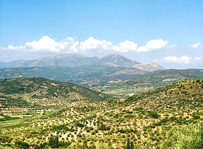 Puglia Wine Tourist tips