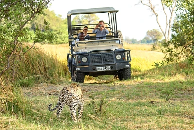How to Experience a Luxury Safari in Botswana’s Pristine Reserves
