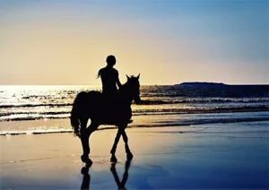 Owning Horse: Budgeting Tips