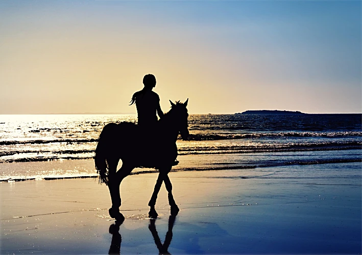 Owning Horse: Budgeting Tips