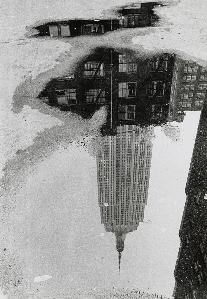 André Kertész and M. C. Escher