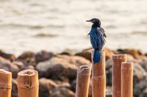 Galapagos instagrammable Spots