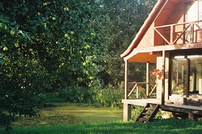 Ideas for Garden Cabin: Transforming Your Space