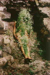 Ana Mendieta - source of life, mother nature