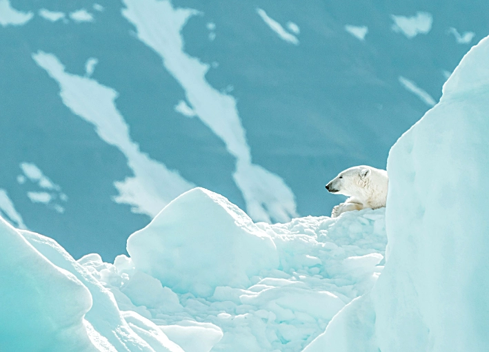 Svalbard Arctic travel