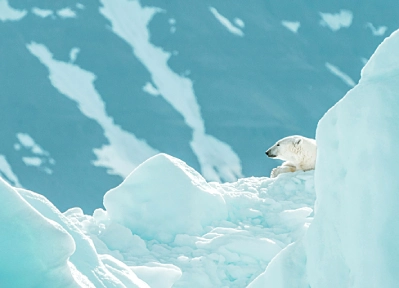Ice Bears and Midnight Sun: Svalbard, the Arctic Adventure Everyone’s Talking About