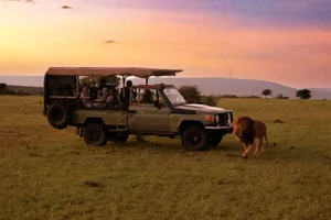 Wildlife Encounters Africa