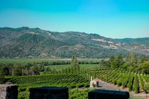 best Wine Regions