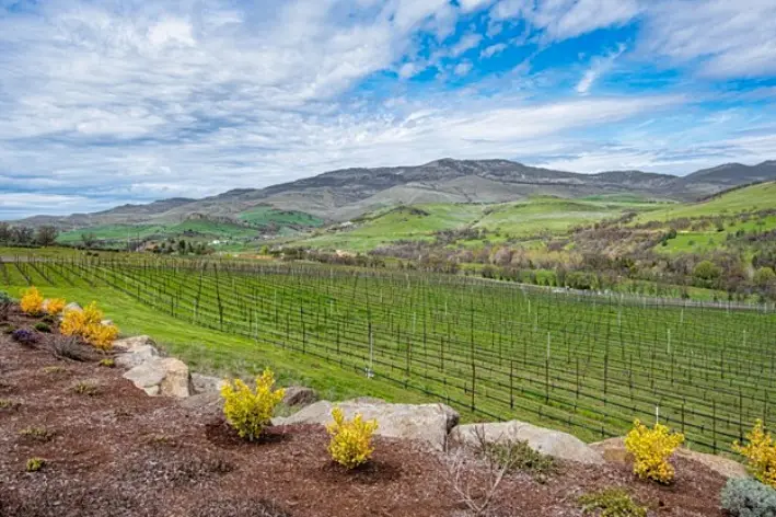 Top 10 Wine Regions 