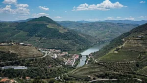 Wine Regions worth visiting