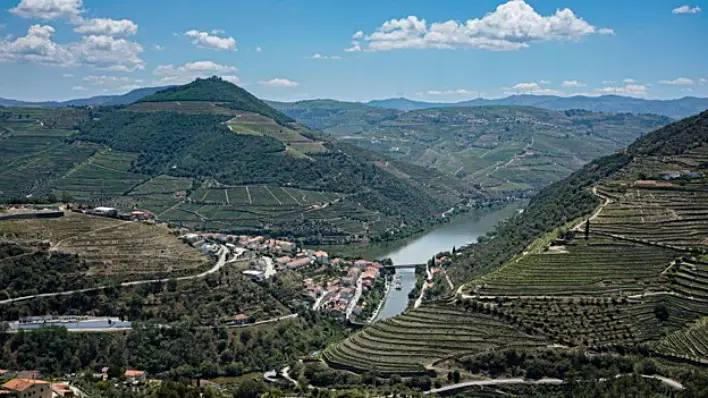 Wine Regions worth visiting 