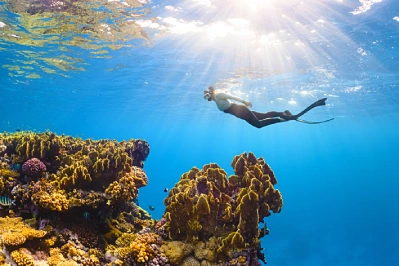 Beneath the surface: Destinations where the best of the trip is underwater