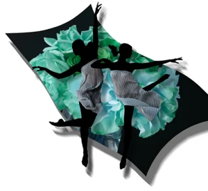 Fashion Story from photographer Howard Schatz  