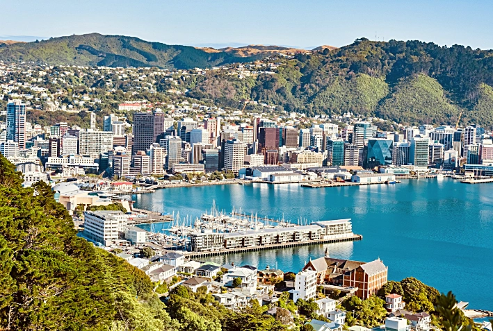 Wellington city guide