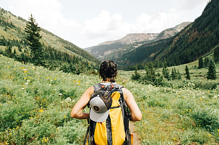Wellness travelers